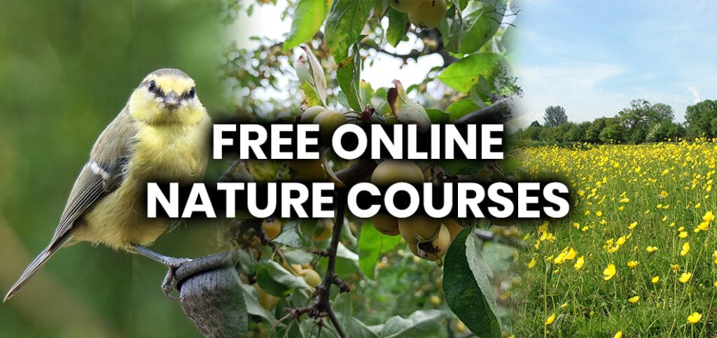 Free online nature courses